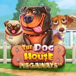 The Dog House Megaways gra w Supercat Casino dla graczy z Polski The Dog House Megaways gra w Supercat Casino dla graczy z Polski