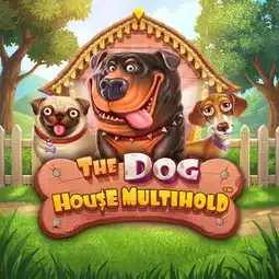 The Dog House Multihold gra w Supercat Casino dla graczy z Polski The Dog House Multihold gra w Supercat Casino dla graczy z Polski